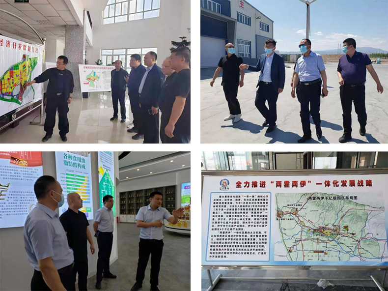油脂集團(tuán)：李普生一行赴新疆霍城調(diào)研、檢查工作