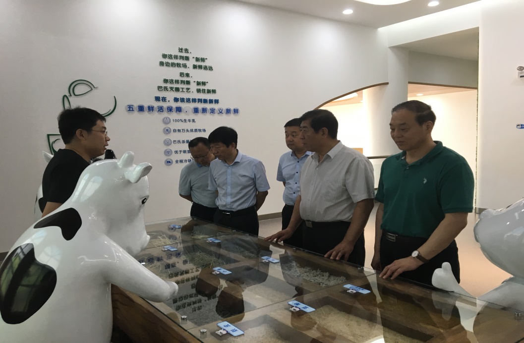 省國資委副巡視員杜芳軍一行督導檢查集團穩增長促投資工作