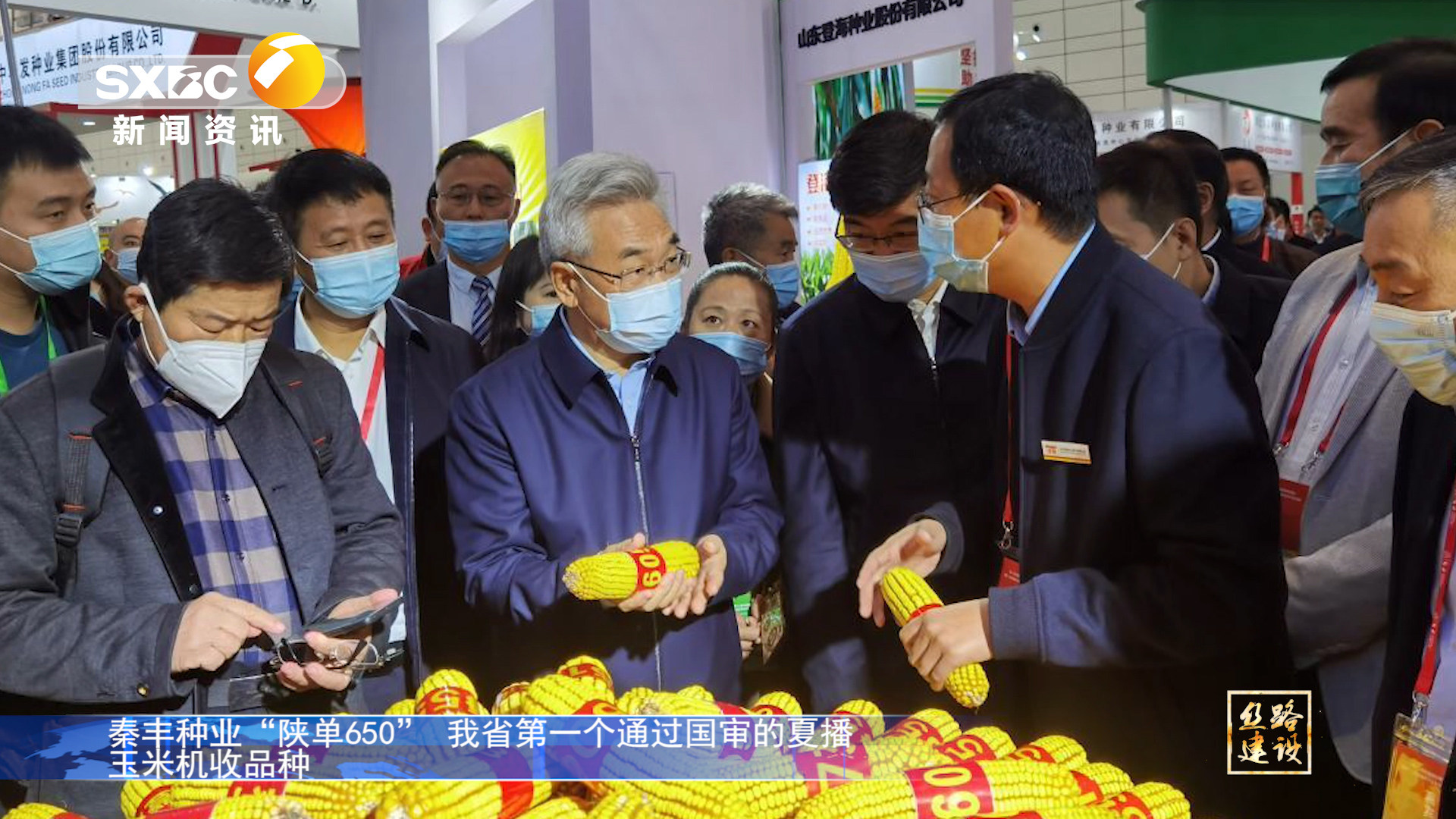 陜西電視臺《絲路建設》：秦豐種業“陜單650”我省第一個通過國審的夏播玉米機收品種