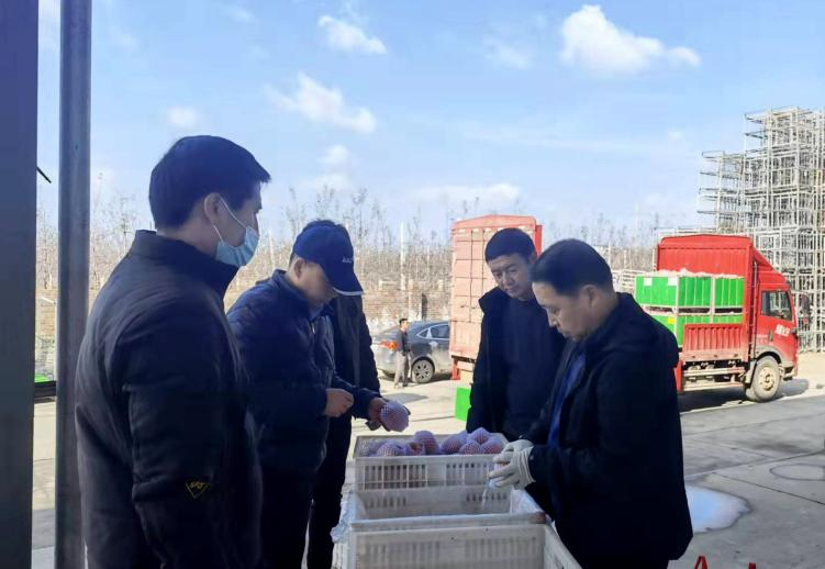儲備糧管理集團：洛川果業(yè)公司首單蘋果期貨交割業(yè)務順利完成